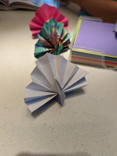peacock