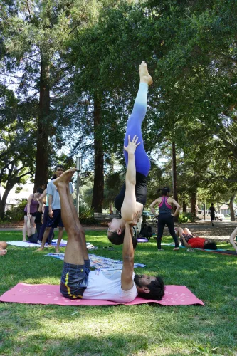 needle