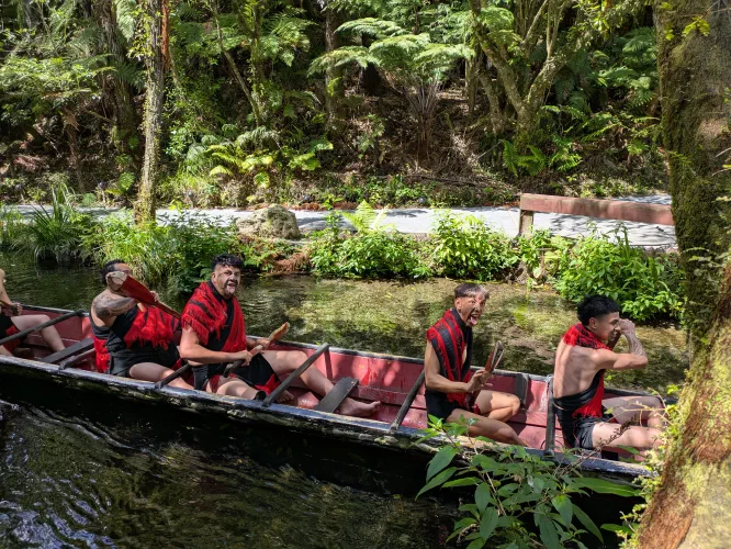 Maori