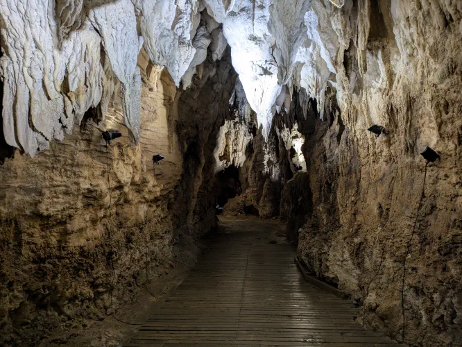 Waitomo caves